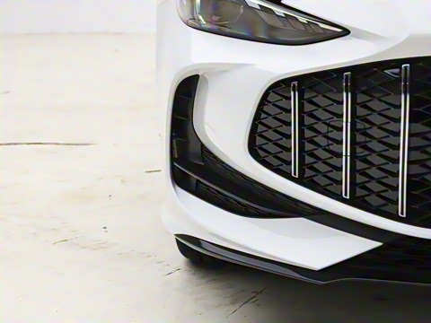 2026�� 300DTGI ȫ���콢MAX��