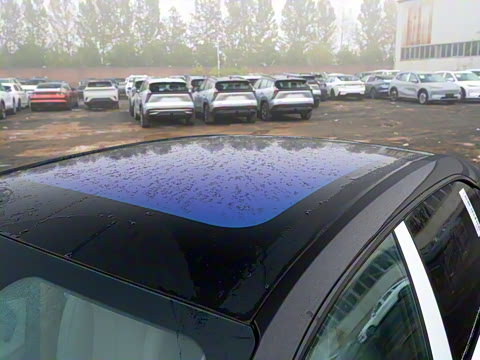 2025�� 530km ����Max