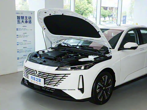 2024�� 1.5T GDI�Զ� �����