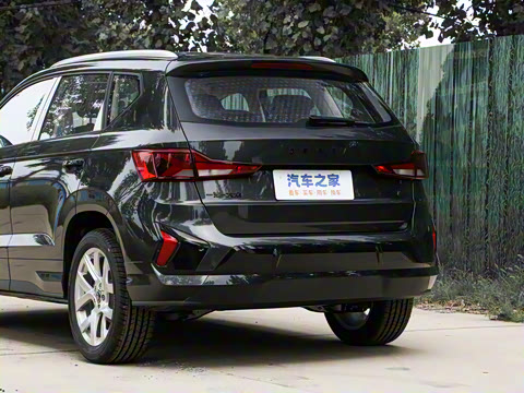 2024�� 280TSI �Զ��ȷ��