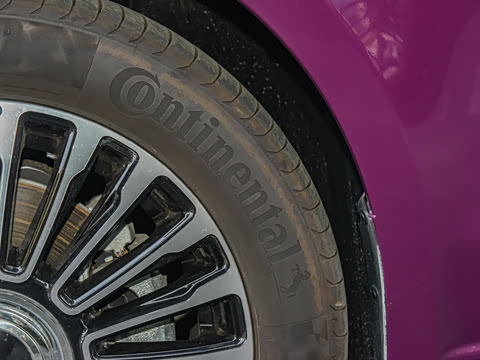 2024�� 2.0T ����V300D