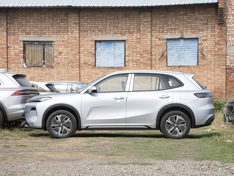 2025�� 55km ̽����