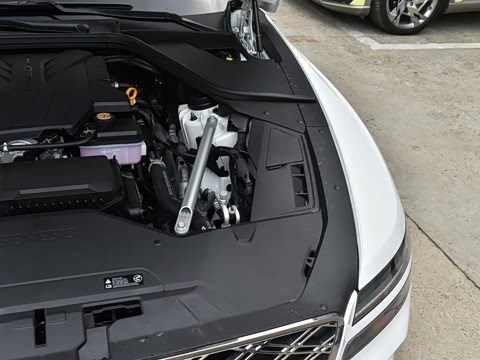 2024�� 2.5T ����������