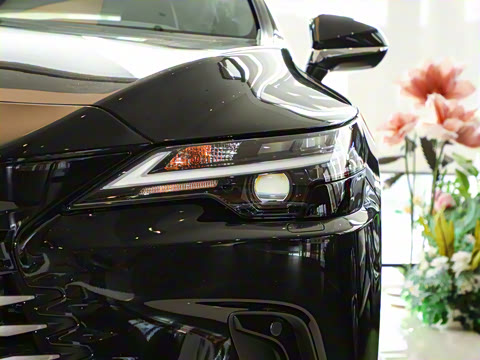 2025�� 350h ����������