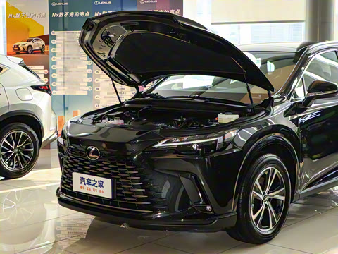 2025�� 350h ����������