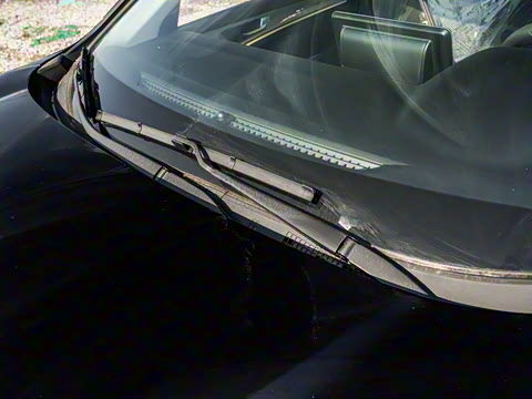 2023�� PLUS 1.5T DCT��Ӣ������