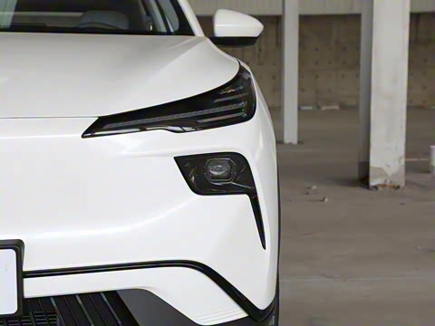 2025�� 445km ���ð�