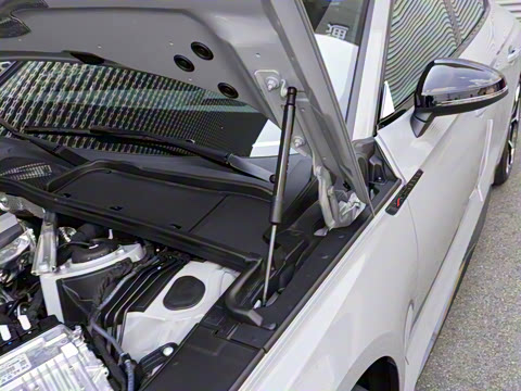 2024�� RS 5 2.9T Sportback ȼ���