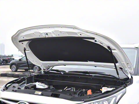 2024�� 2.5L���ܵ��˫���������� 7��