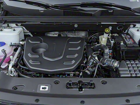 2025�� 1.5T ������ 5��