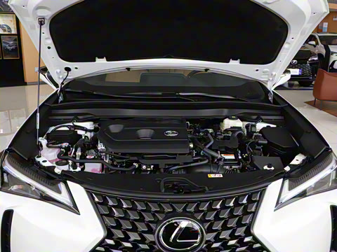 2024�� 300h ̽Ȥ��