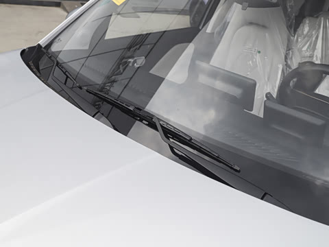 2025�� 305km ������