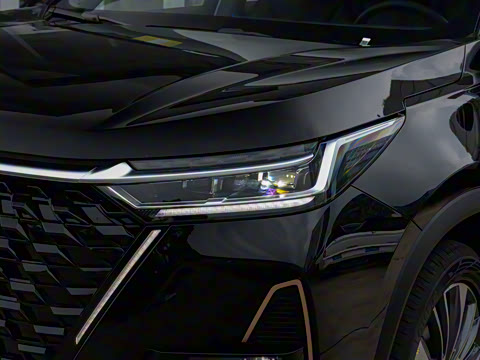 2025�� 390T ���������