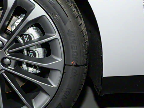 2024�� ���� 525������