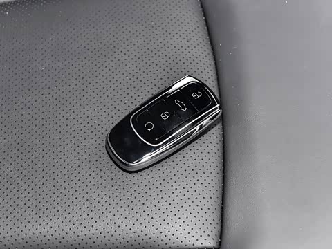 2024�� ������ 290TGDI �Զ����+�� 5��