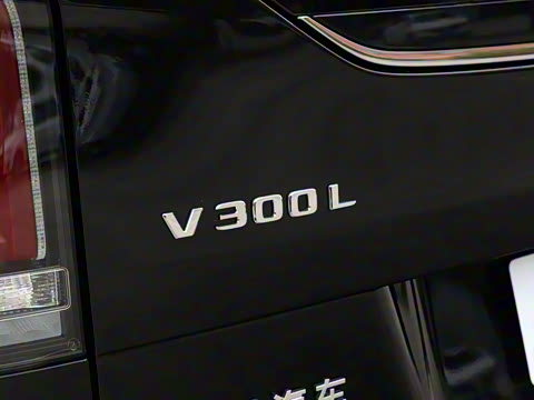 2025�� 2.0T ��άʿ����̩