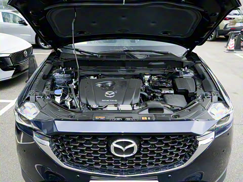 2025�� 2.0L �Զ�����������