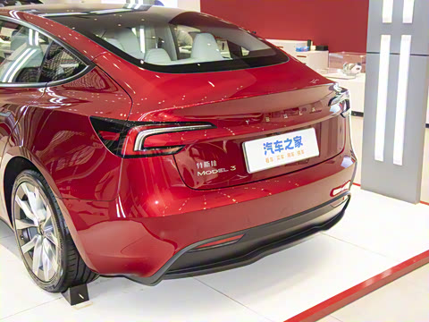 2025�� ����������