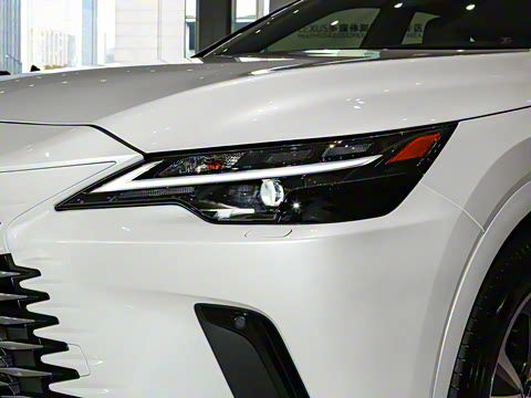 2023�� 350h ����������