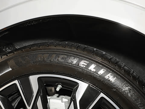 2023�� 2.0T ��������Pro��