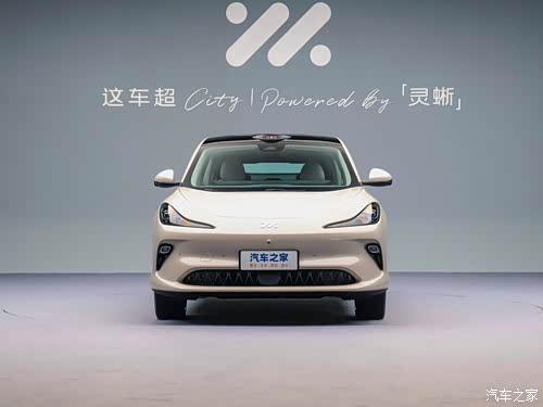 2025款 超强性能灵蜥智享版