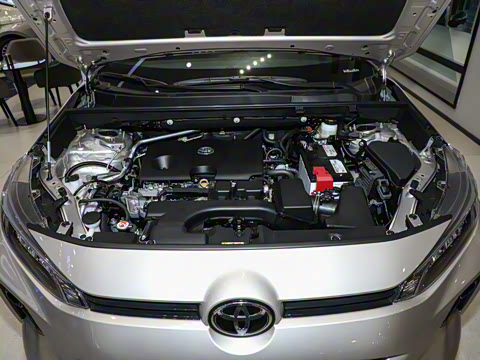 2024�� 2.0L CVT�������Ȱ�