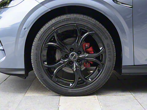 2025�� 550�������˰�