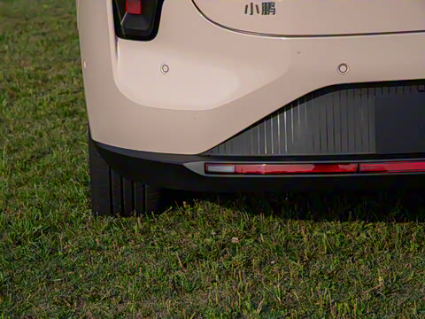 2025�� 600 �������� Max