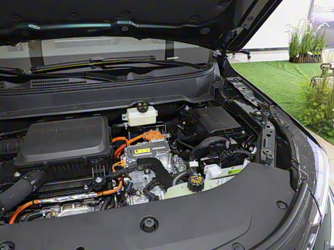 2025�� 165km ���������ȴ�ҵ�� 5��