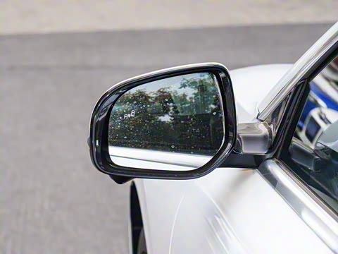 2025�� ���� ����� 230 ����