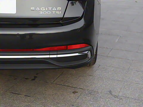 2025�� �Ŀ��� 300TSI DSG��Խ��