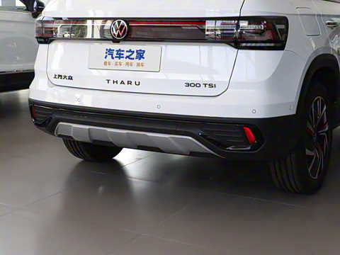 2024�� 300TSI ���������