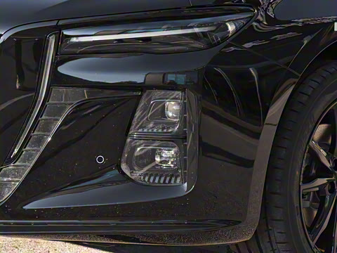 2025�� 2.0T �Զ���Ӱ��