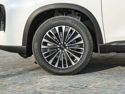 2025�� 1.5T 116km ������ 5��