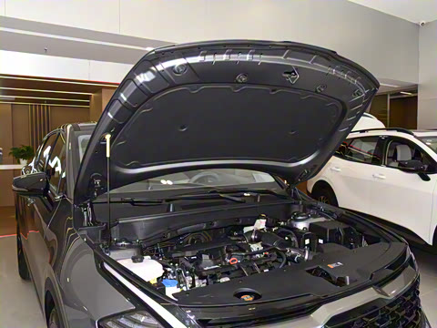 2025�� 1.5T ����������