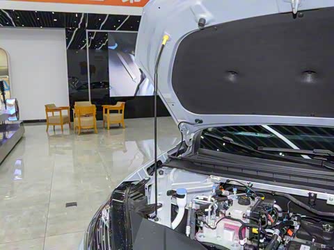 2025�� 650 ������