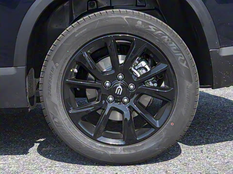 2025�� ����� 1.5T PHEV ���°�