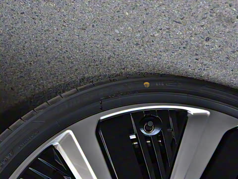 2025�� 550 PRO���а�