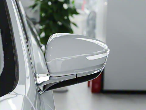 2024�� 1.6T DCT������ 7��