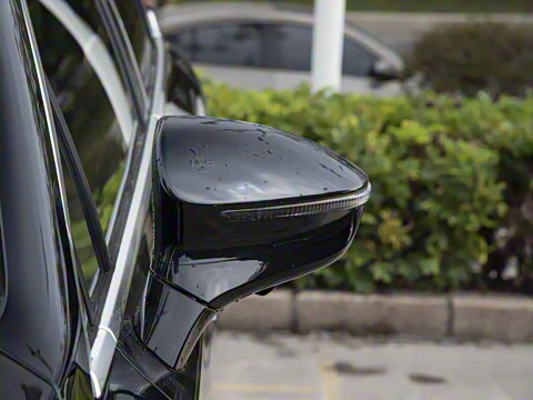 2025�� DM-i 115KM �콢��