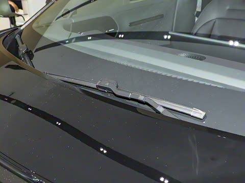 2024�� Max�����