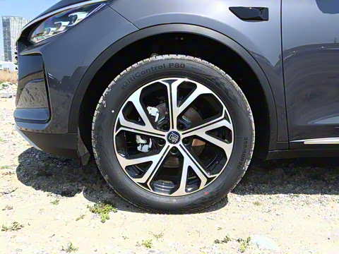 2025�� �Ǽݰ� DM-i 115KM �콢��