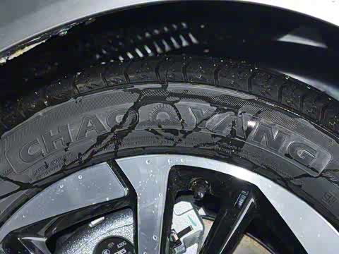 2025�� Plus 510 �Ǻ���