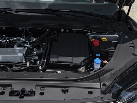 2025�� 260������������