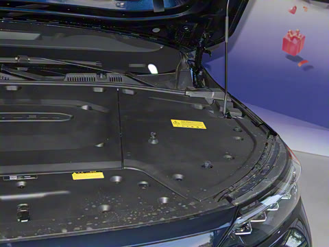 2024�� 520 ������