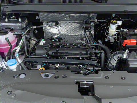 2025�� 1.5L �ֶ����ʰ�