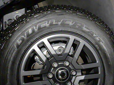 2025�� Trialmaster��