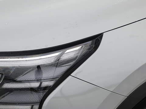 2025�� ���Ĵ� 1.5T ������ �ǻ��콢��