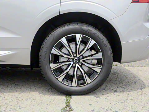 2025�� B5 �������ݺ�����