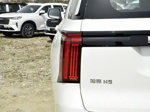 2025�� 2.0T�Զ������촴�� ����